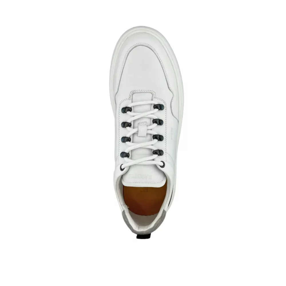 Blackstone Blackstone | BG358