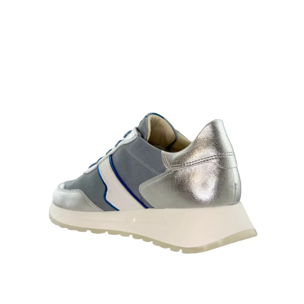 DL Sport DL Sport | 6203