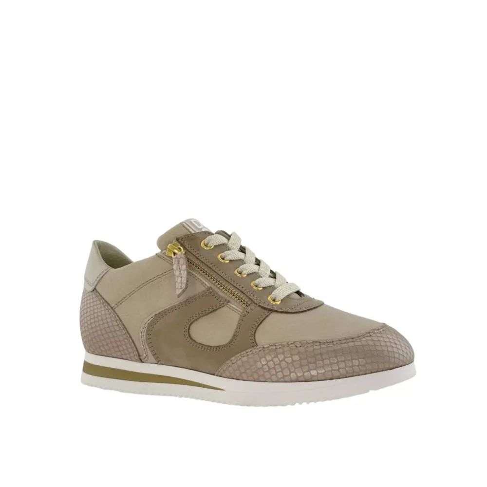 DL Sport DL Sport | 6251