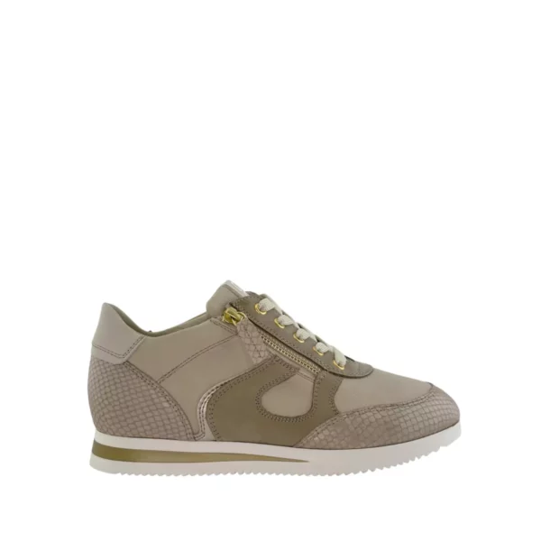 DL Sport DL Sport | 6251