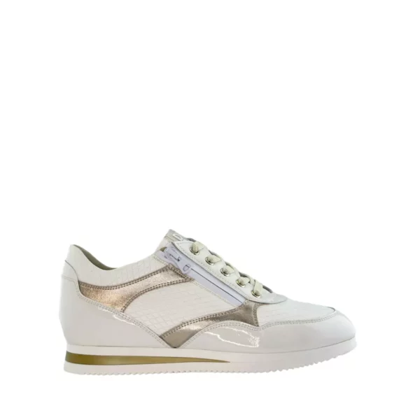 DL Sport DL Sport | 6251