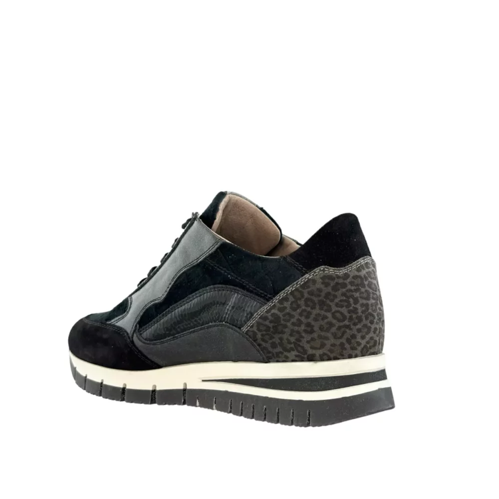 DL Sport DL Sport | 6329