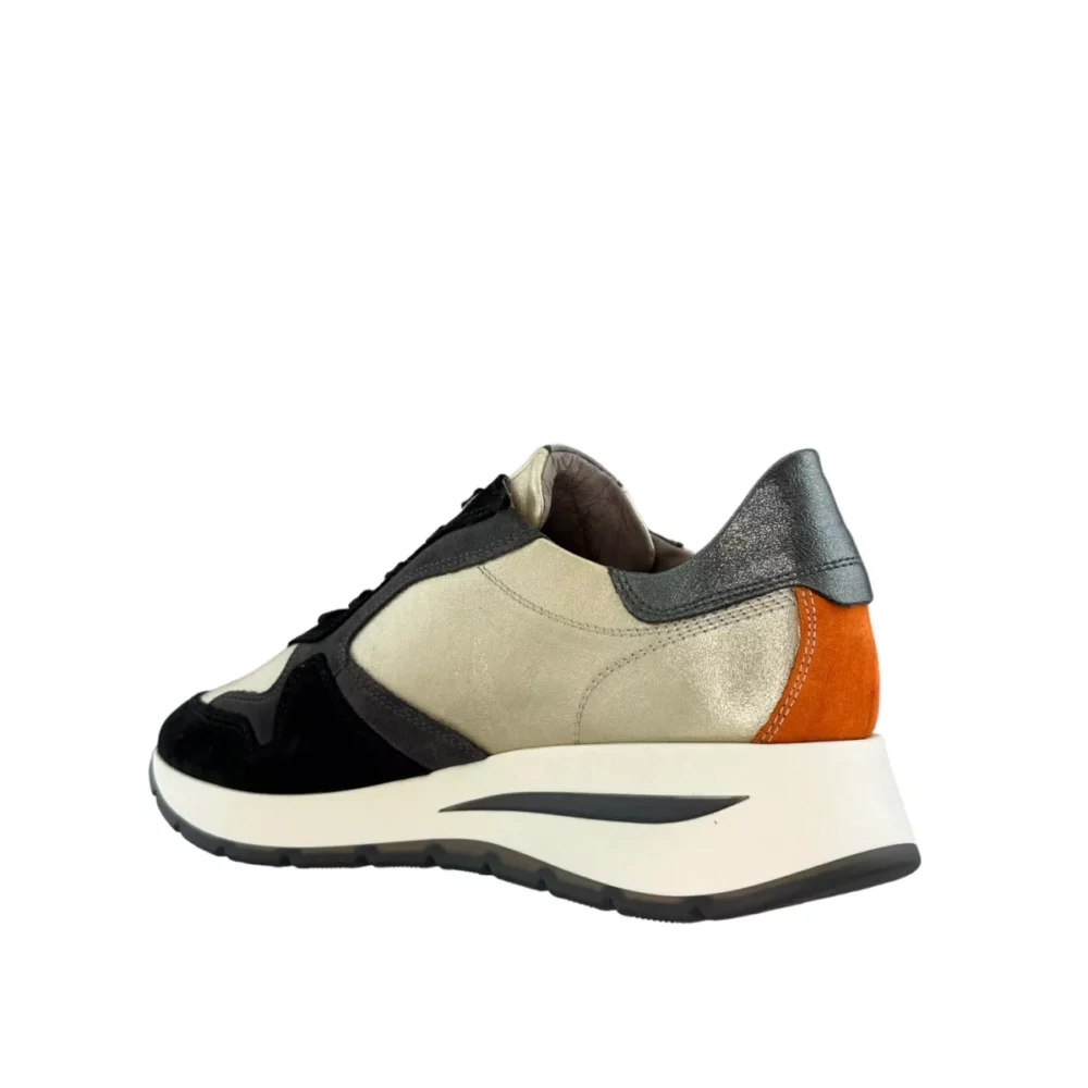 DL Sport DL Sport | 6337
