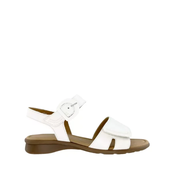 Gabor Gabor | 46.062