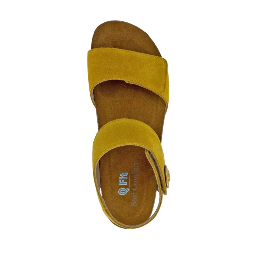 Q-Fit Q-Fit | Mila-4056
