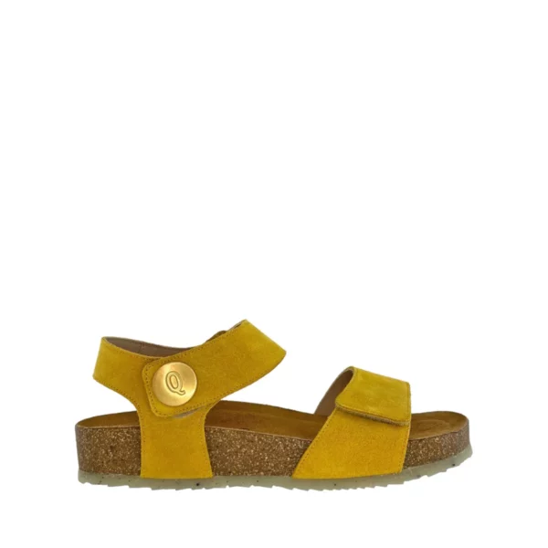 Q-Fit Q-Fit | Mila-4056