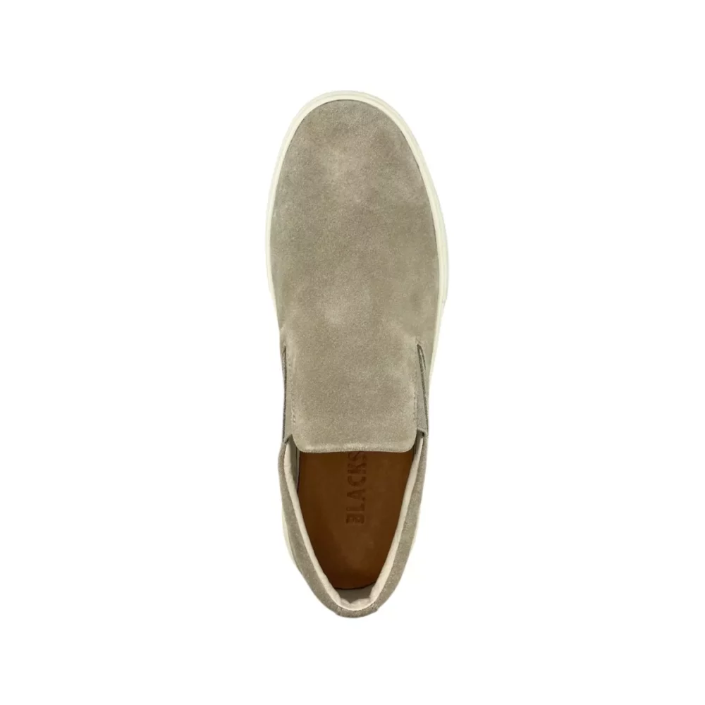 Blackstone Blackstone | DG-508