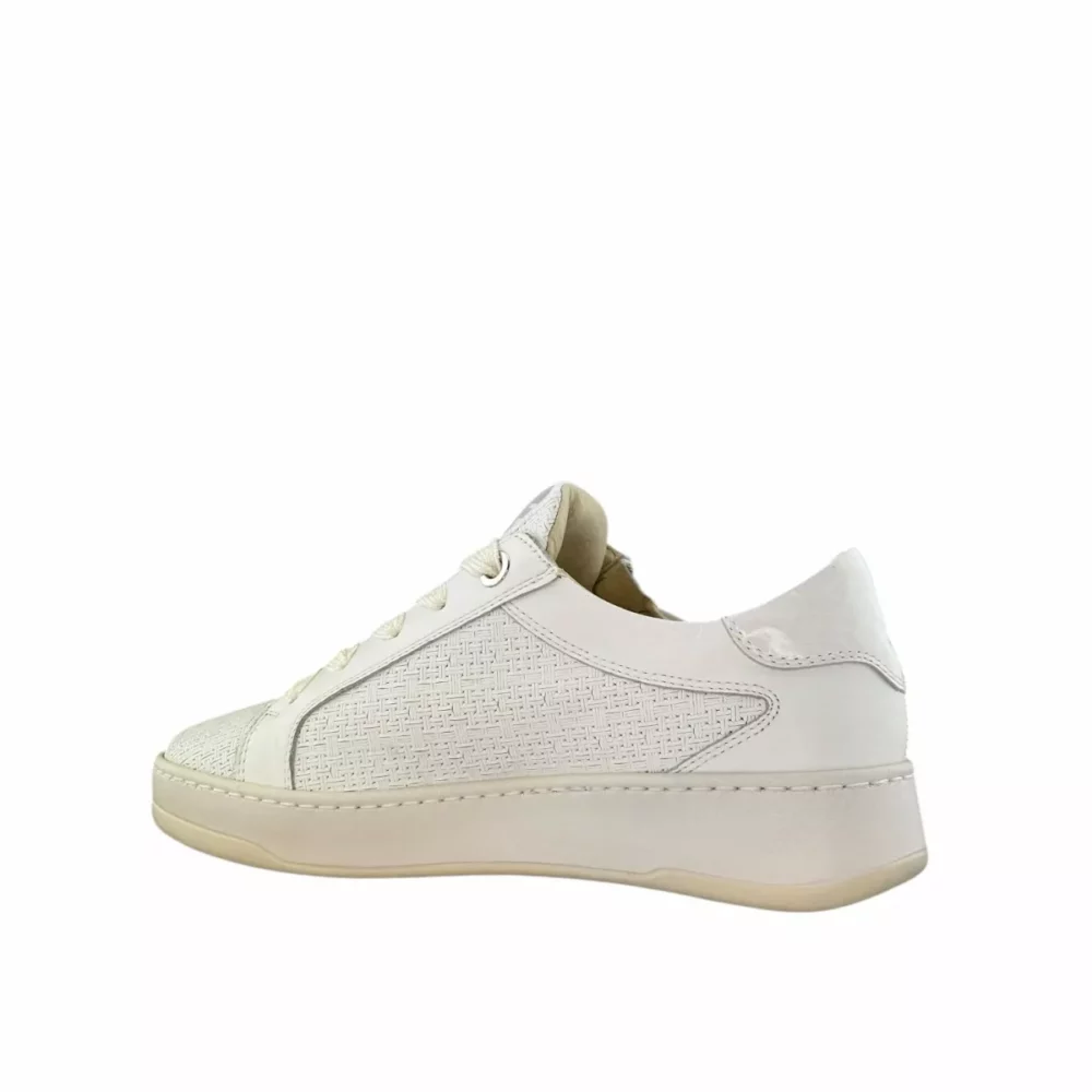 DL Sport DL Sport | 6504