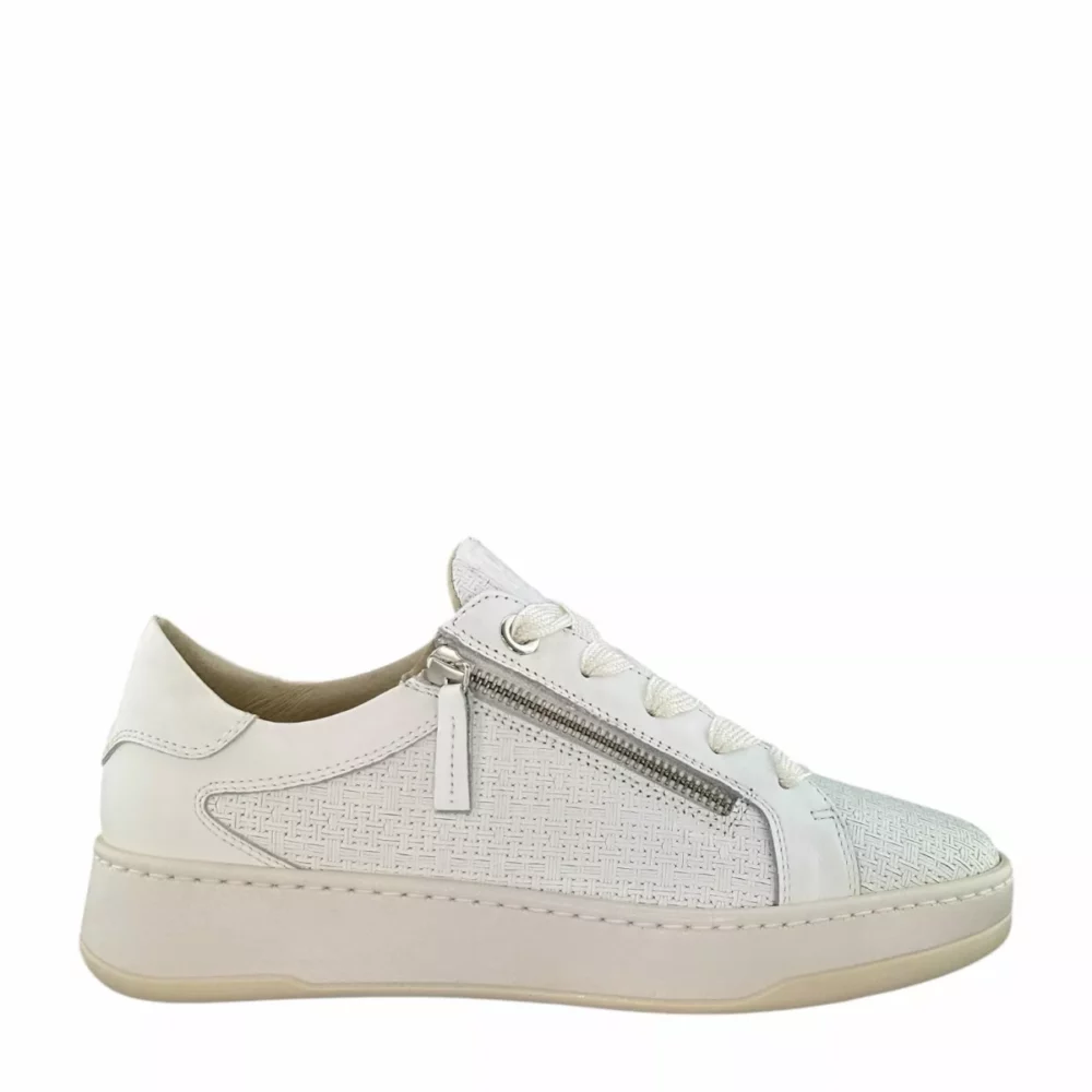 DL Sport DL Sport | 6504