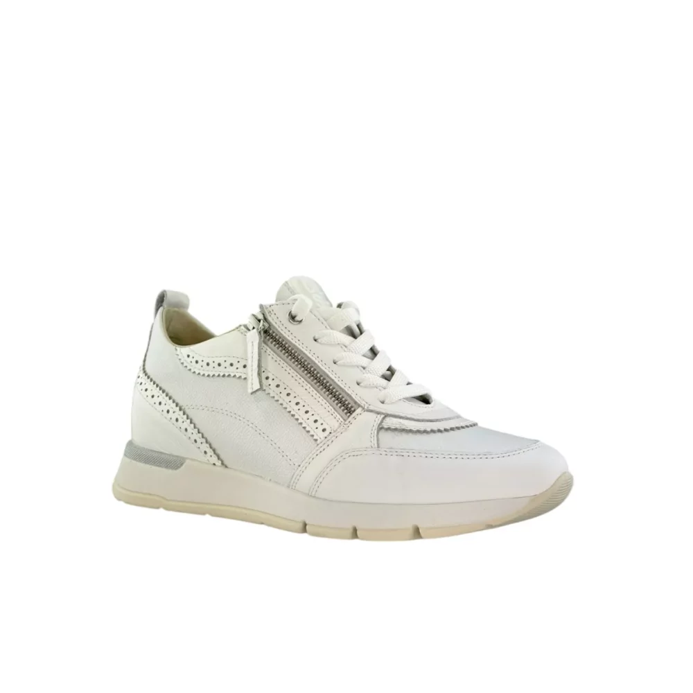 DL Sport DL Sport | 6523