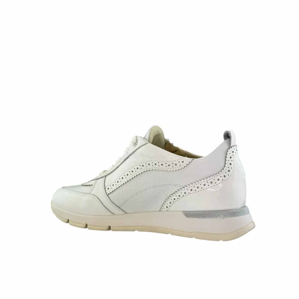 DL Sport DL Sport | 6523