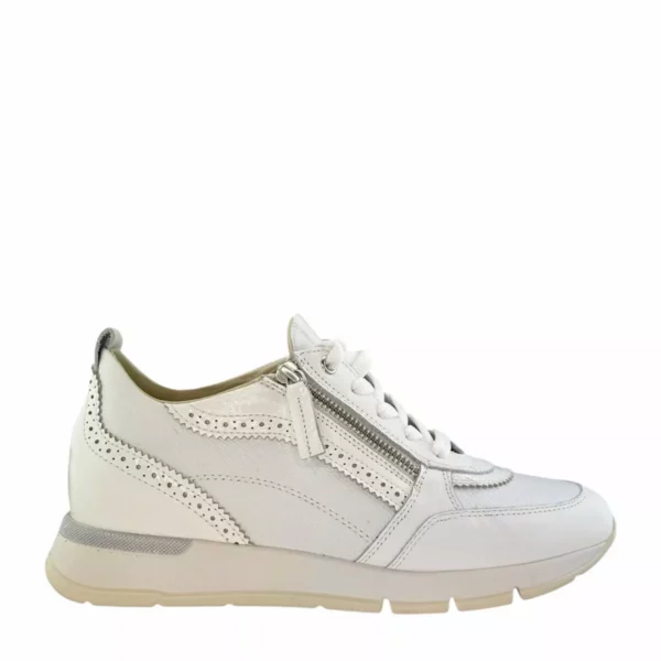 DL Sport DL Sport | 6523