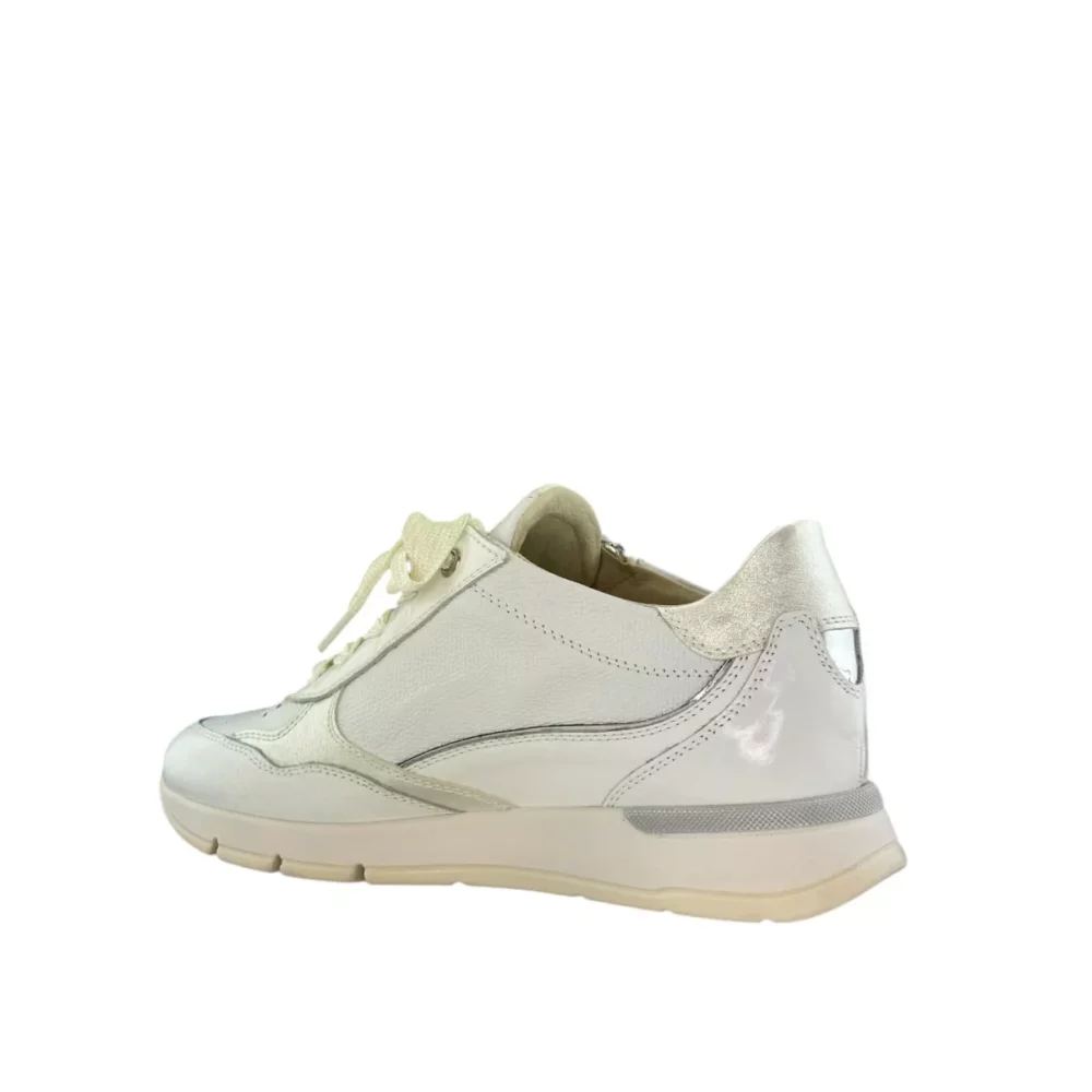DL Sport DL Sport | 6533