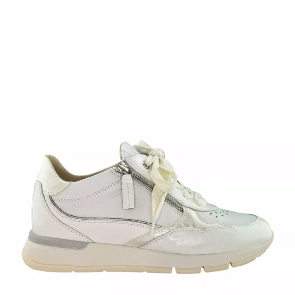 DL Sport DL Sport | 6533
