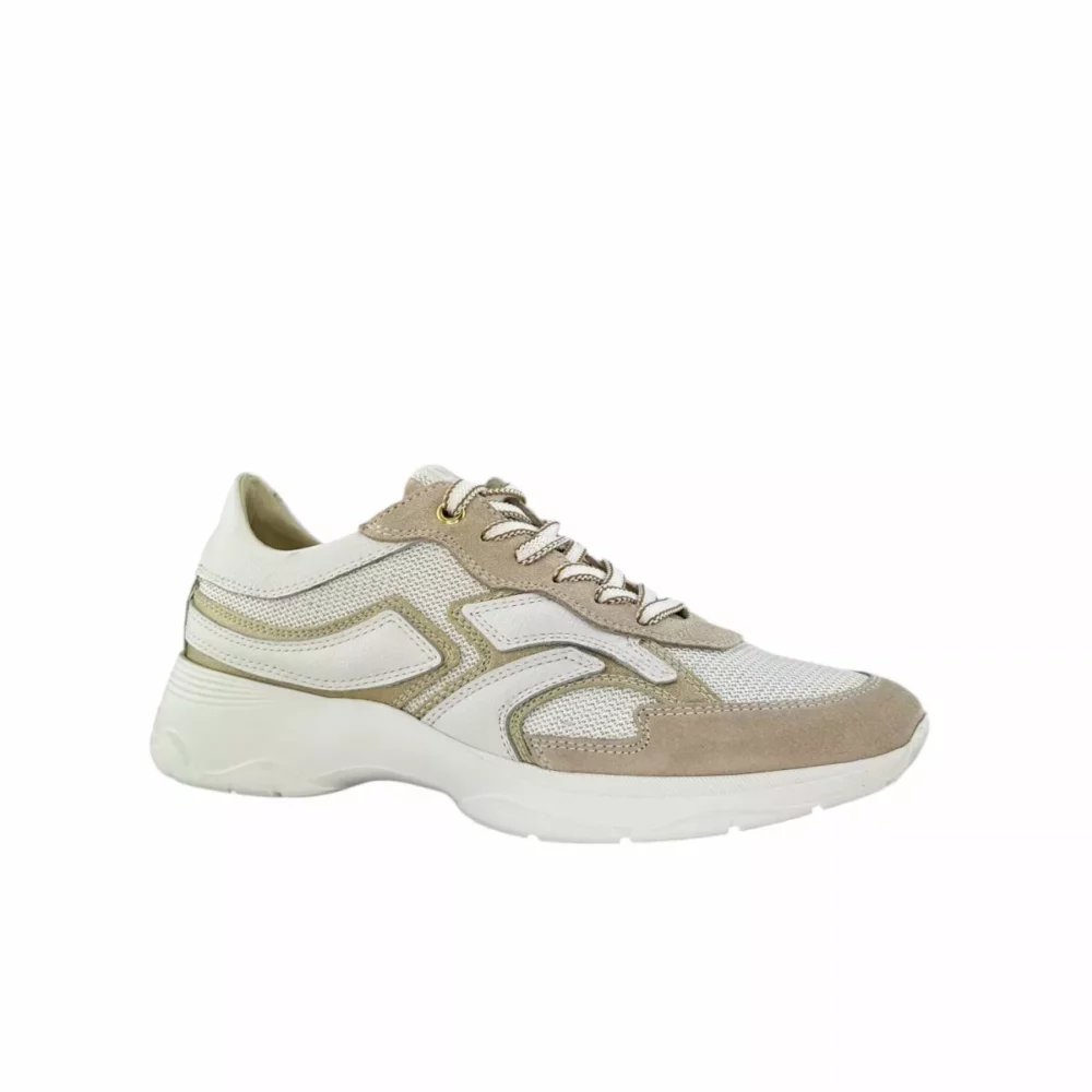 DL Sport DL Sport | 6540