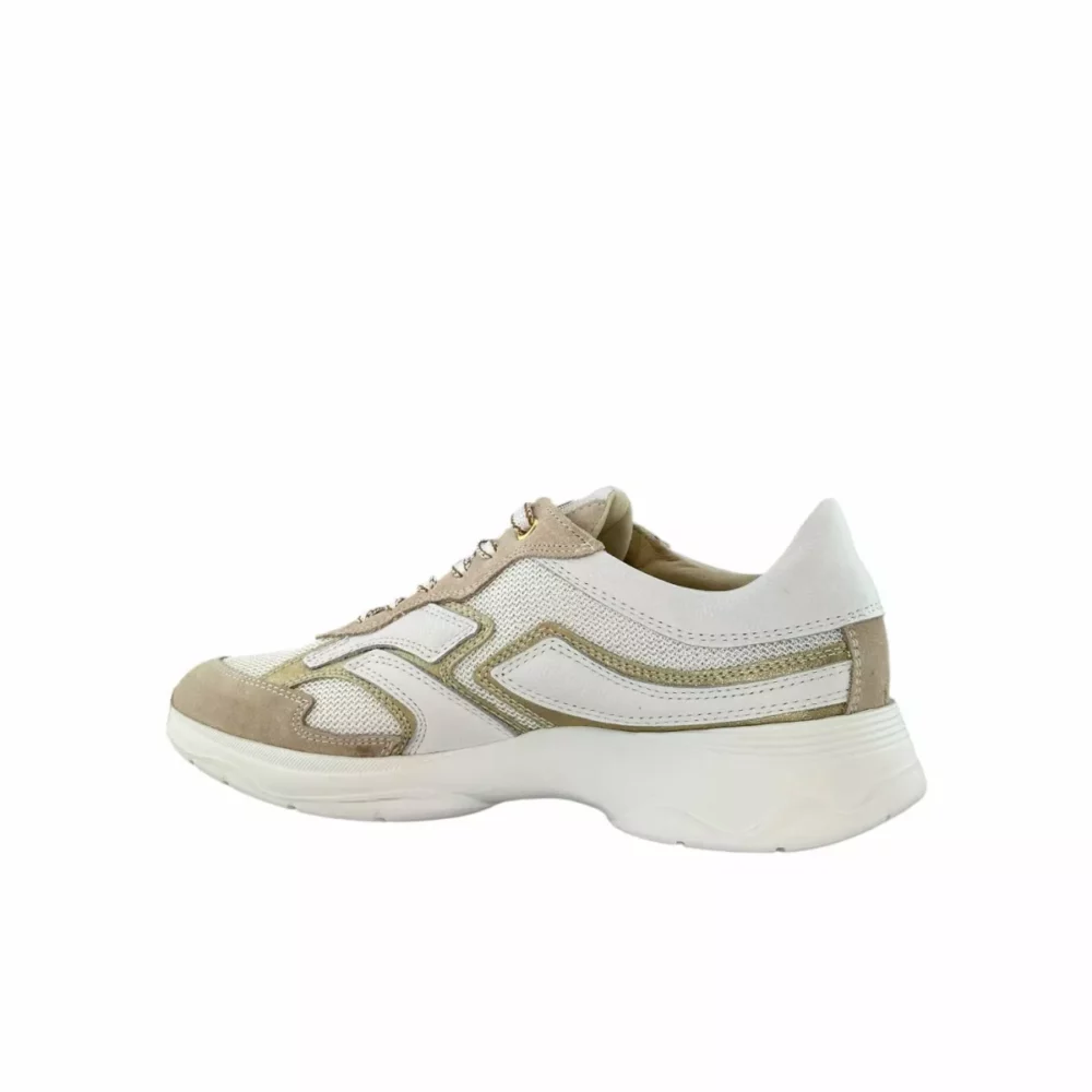 DL Sport DL Sport | 6540