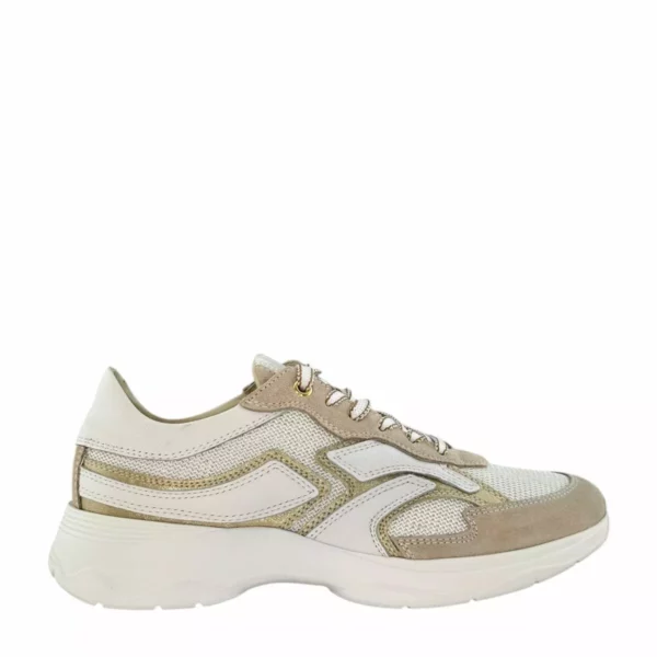 DL Sport DL Sport | 6540