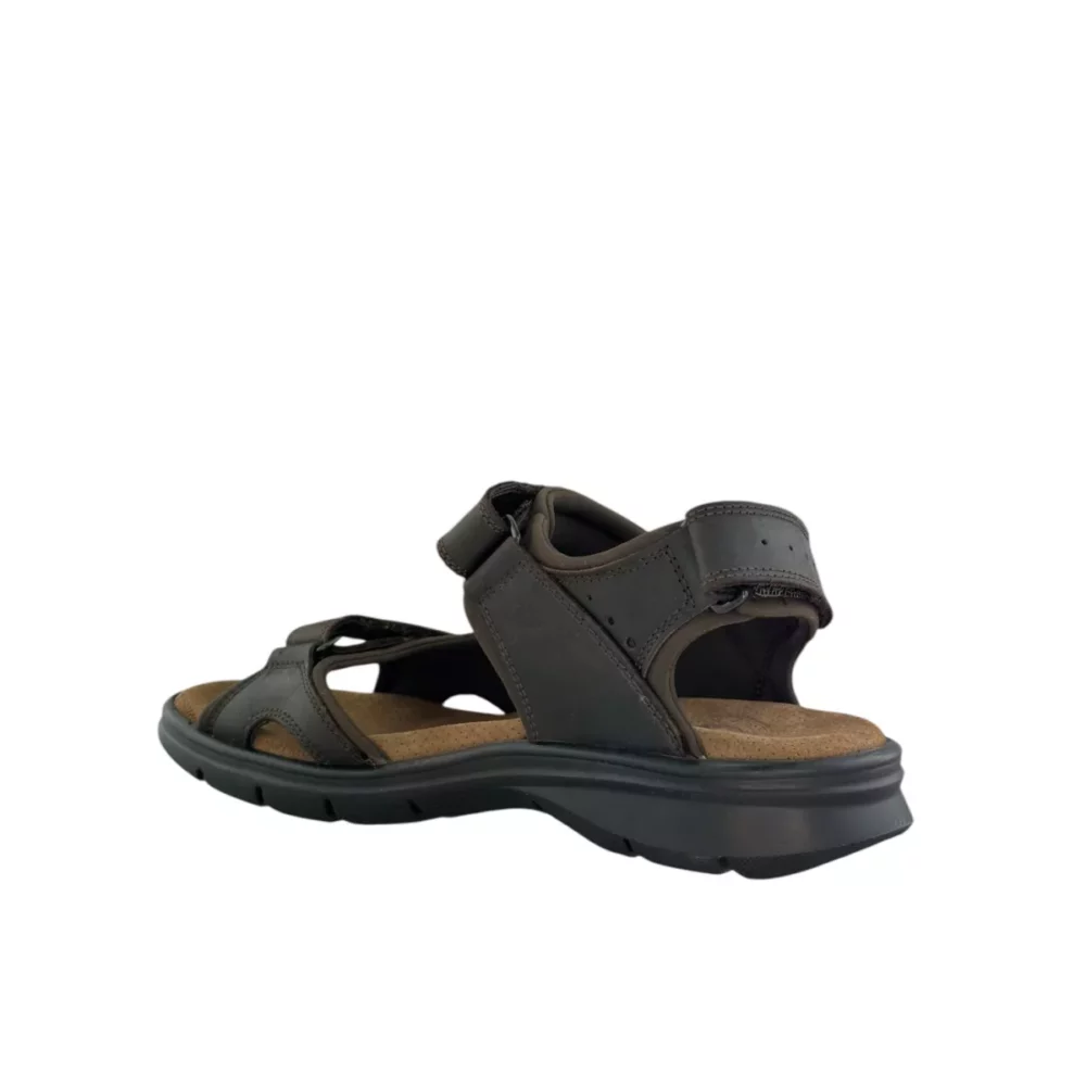 Panama Jack Panama Jack | Salton Basics C1