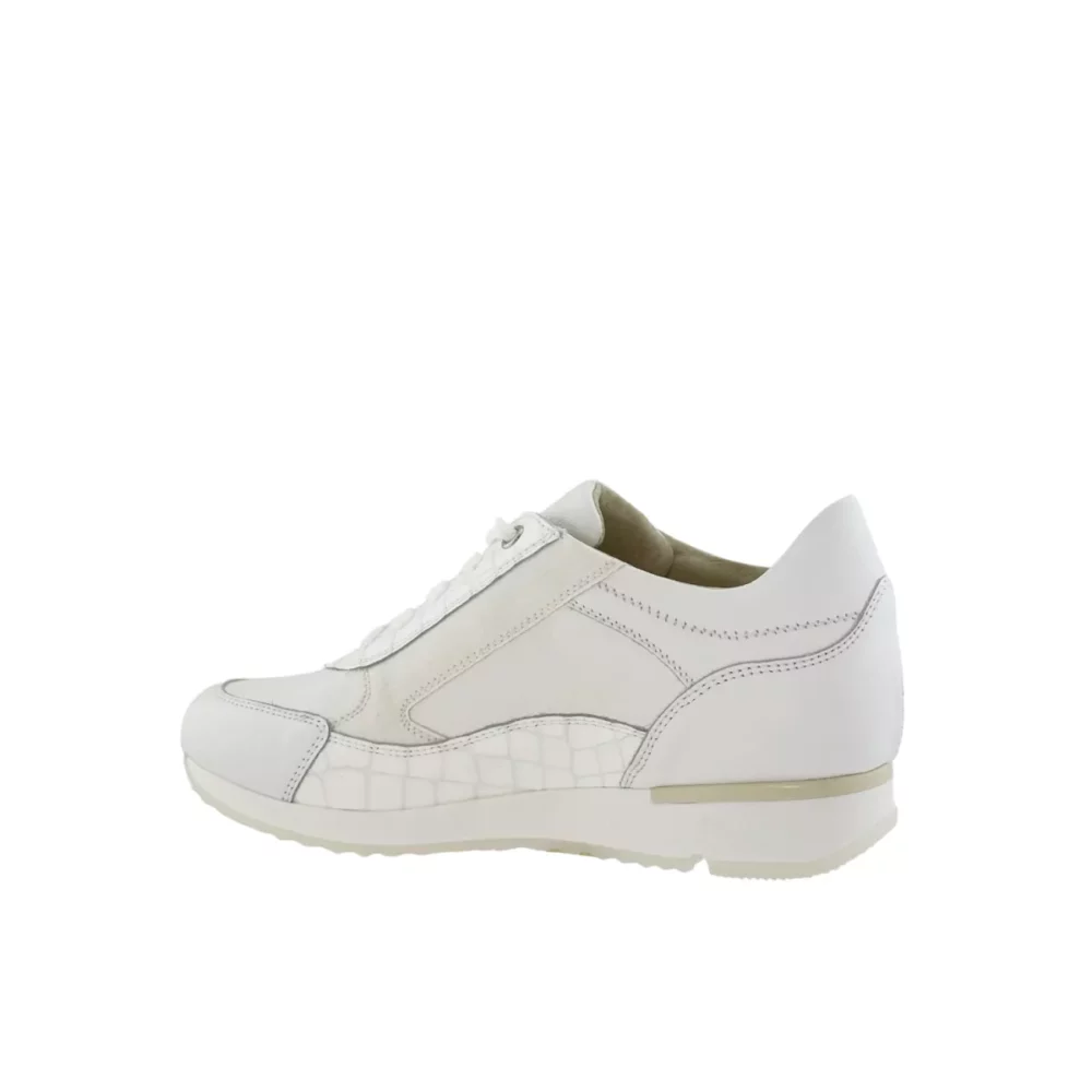 DL Sport DL Sport | 6217