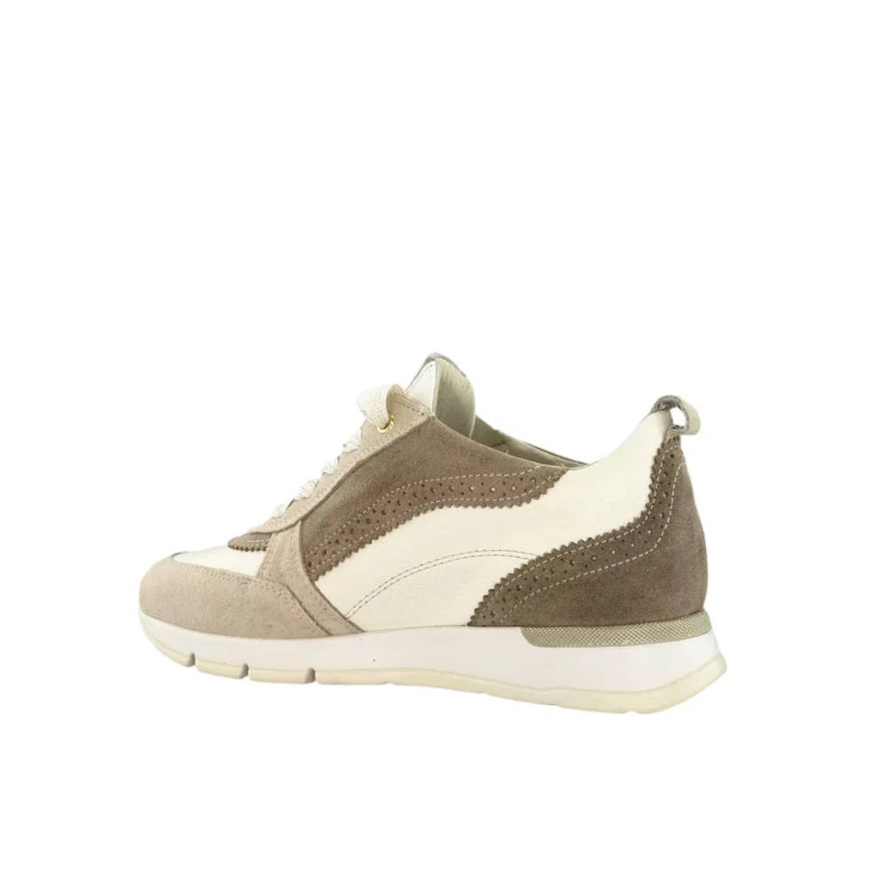 DL Sport DL Sport | 6523
