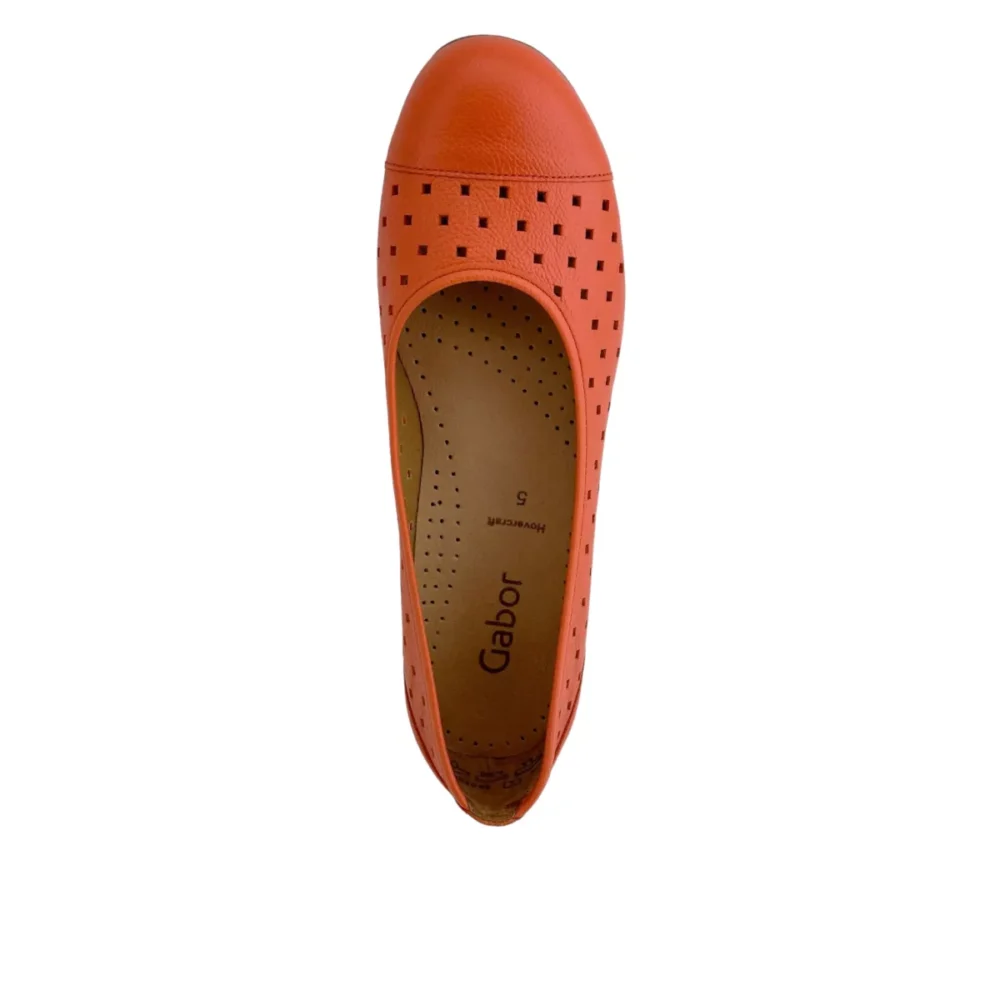Gabor Gabor | 44.169