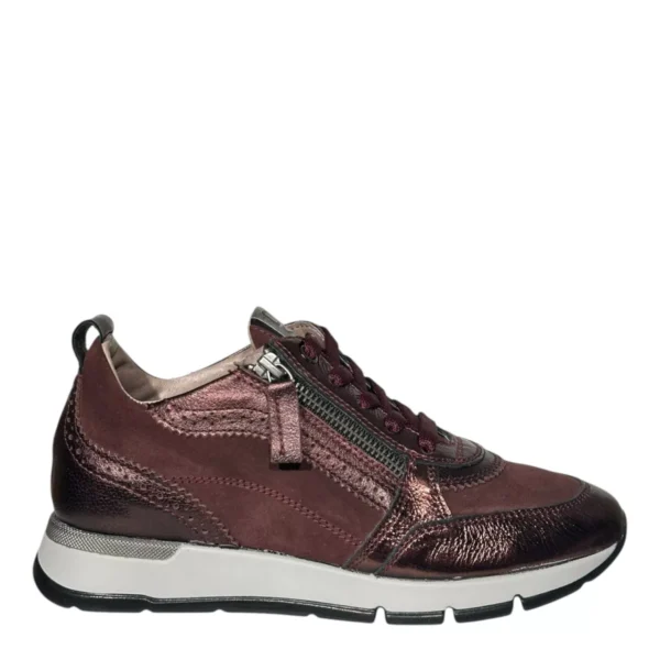 DL Sport DL Sport | 6719