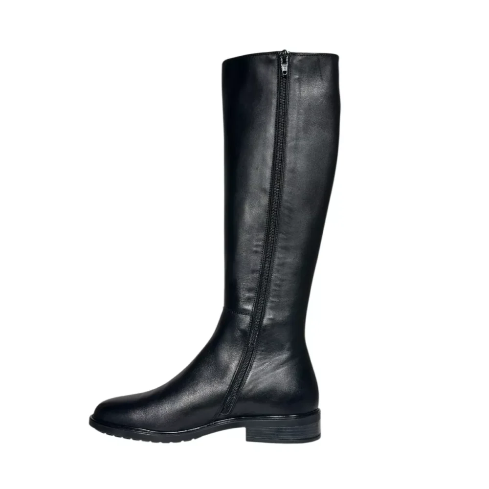 DL Sport DL Sport | 6829