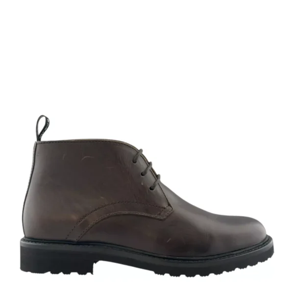 Greve Greve | Deventer-5550