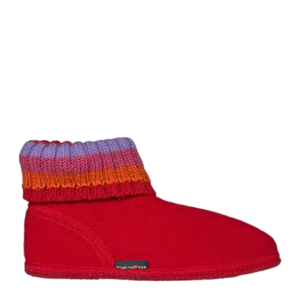 Haflinger Haflinger | Paul