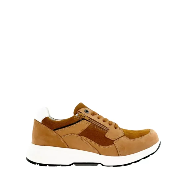 Xsensible Xsensible | Zurich H