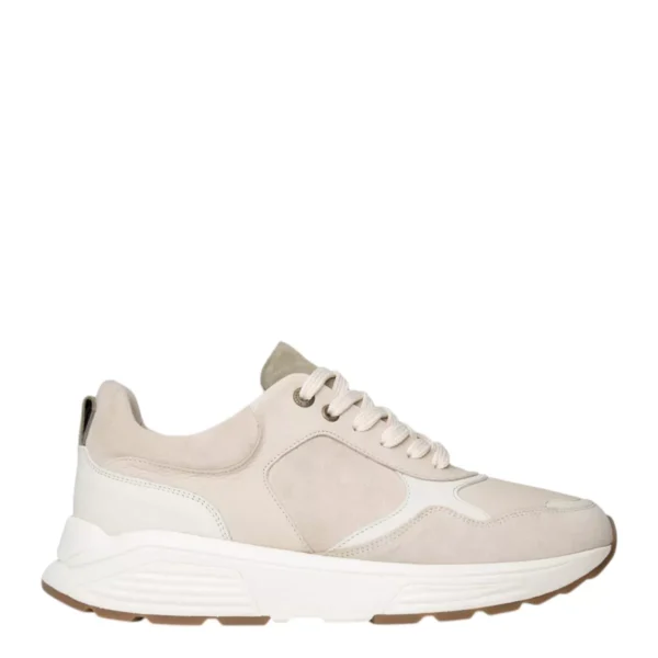 Xsensible Xsensible | Rialto H