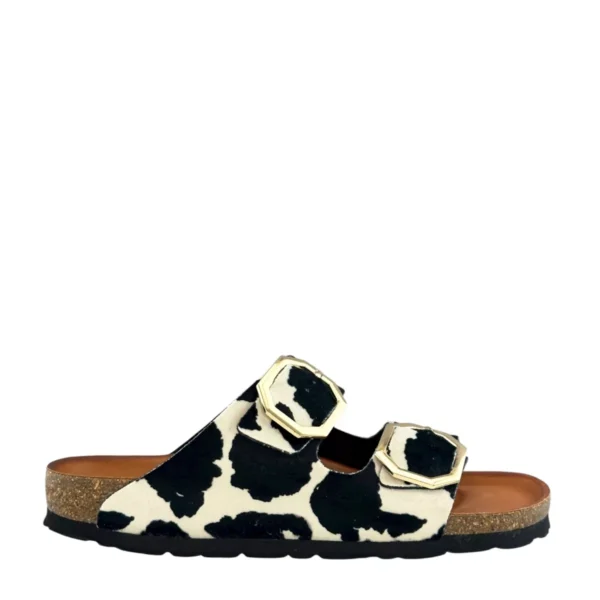 Rohde Rohde | 5637 Cow