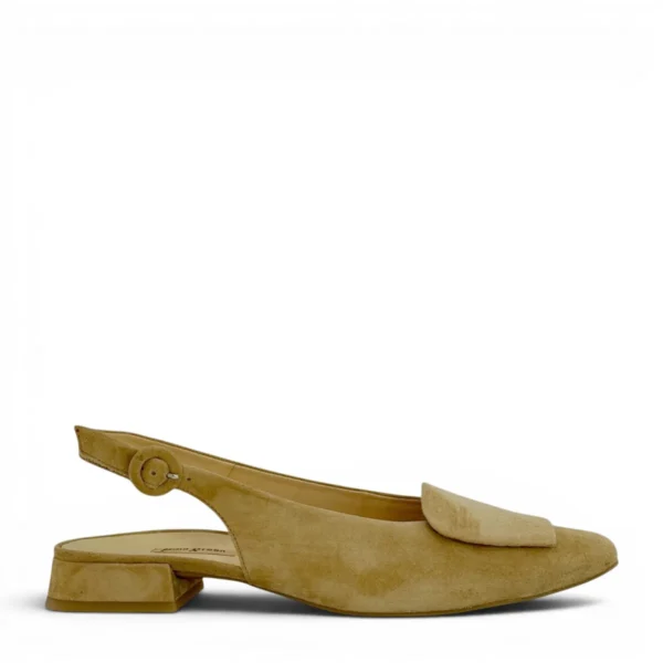 Paul Green Paul Green | 6090
