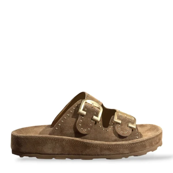 Gianni Renzi Gianni Renzi | 904