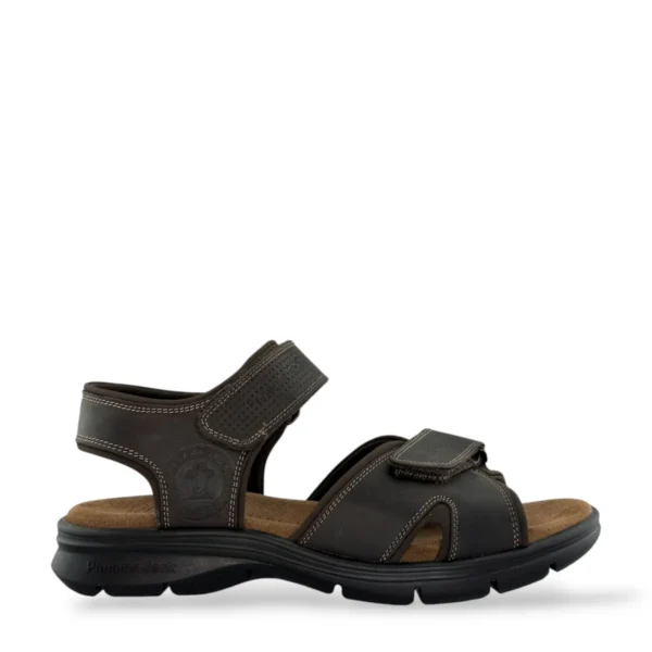 Panama Jack Panama Jack | Sanders Basics C1