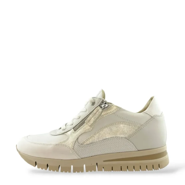 DL Sport DL Sport | 6926