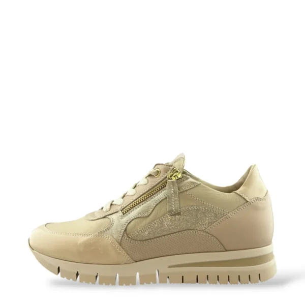 DL Sport DL Sport | 6926