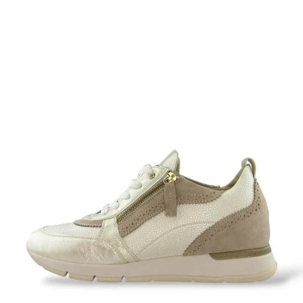 DL Sport DL Sport | 6931