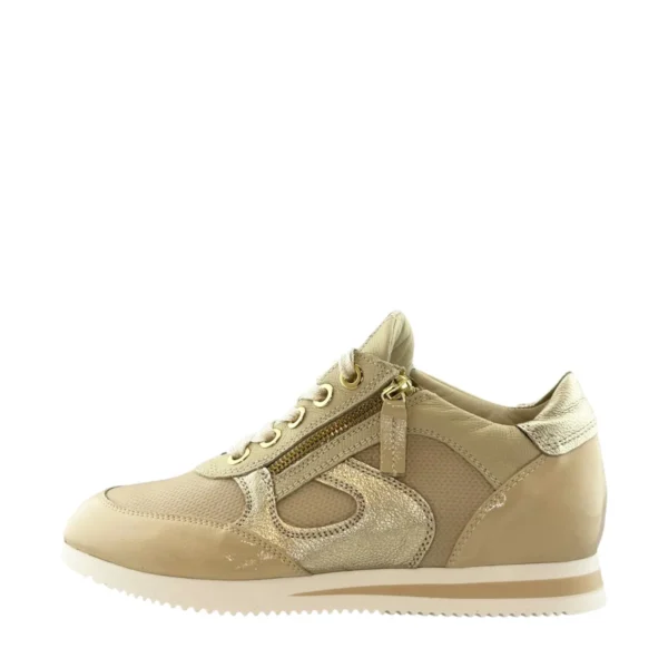 DL Sport DL Sport | 6994
