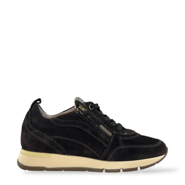 DL Sport DL Sport | 7116
