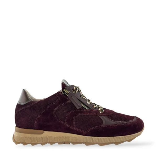 DL Sport DL Sport | 7141