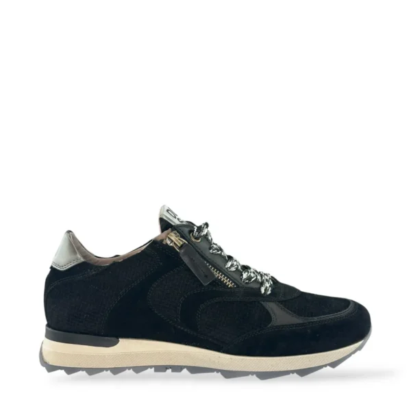 DL Sport DL Sport | 7141